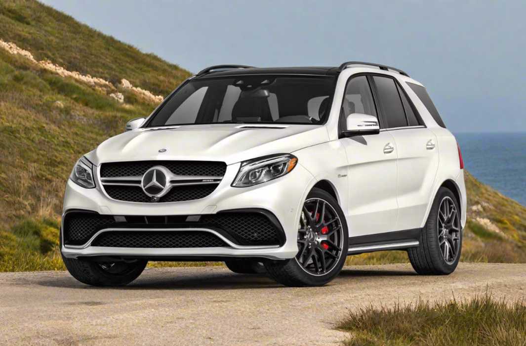 GT Front Grille For Mercedes-Benz GLE 63 AMG【C292 W166】2015-2019【GT BK】